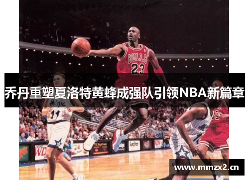 乔丹重塑夏洛特黄蜂成强队引领NBA新篇章